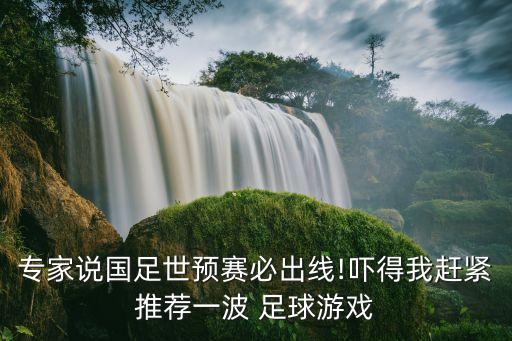 專家說國足世預(yù)賽必出線!嚇得我趕緊推薦一波 足球游戲