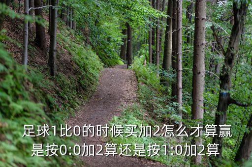  足球1比0的時(shí)候買加2怎么才算贏是按0:0加2算還是按1:0加2算