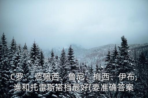 C羅、 范佩西、魯尼、梅西、伊布,誰(shuí)和托雷斯搭檔最好(要準(zhǔn)確答案