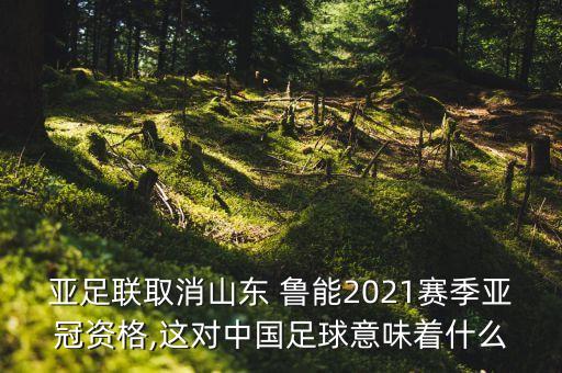 亞足聯(lián)取消山東 魯能2021賽季亞冠資格,這對(duì)中國(guó)足球意味著什么