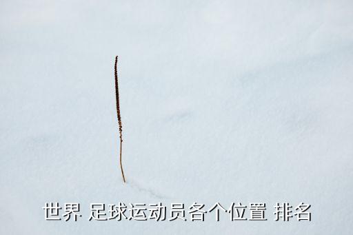 世界 足球運(yùn)動員各個位置 排名