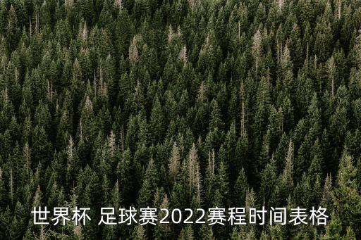 世界杯 足球賽2022賽程時(shí)間表格