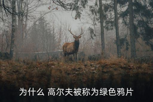 深圳高爾夫足球,足球和高爾夫哪個花錢高