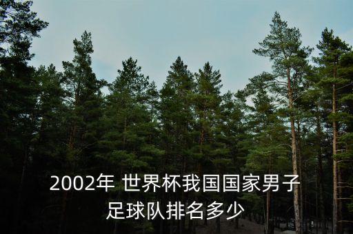  2002年 世界杯我國國家男子 足球隊排名多少