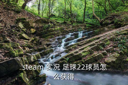 steam購買(mǎi)實(shí)況足球