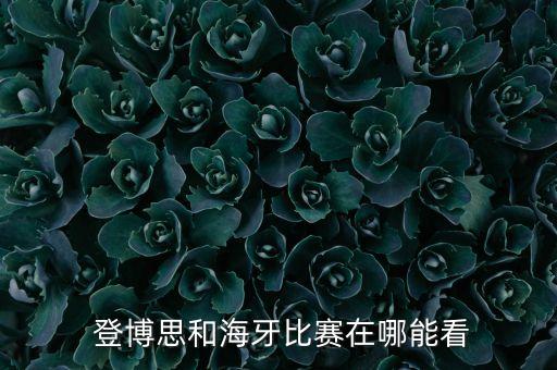  登博思和海牙比賽在哪能看