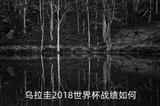  烏拉圭2018世界杯戰(zhàn)績?nèi)绾? class=