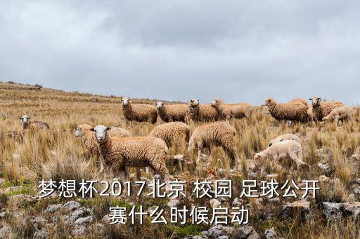 夢(mèng)想杯2017北京 校園 足球公開(kāi)賽什么時(shí)候啟動(dòng)