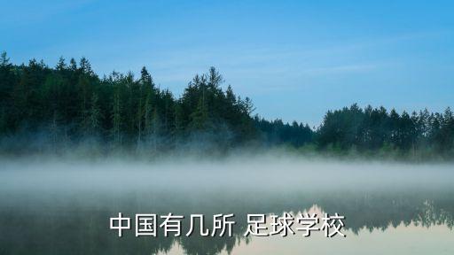 河南少年足球俱樂部,青島少年足球俱樂部
