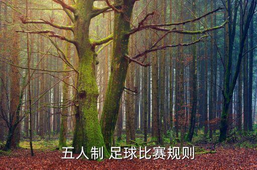 五人制 足球比賽規(guī)則