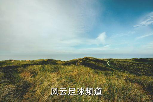 南美足球賽事中國解說,與南美的解放者有關(guān)的足球賽事是