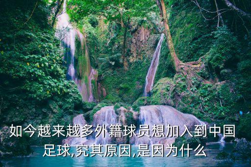 如今越來越多外籍球員想加入到中國 足球,究其原因,是因為什么