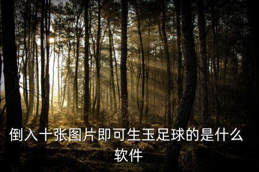 倒入十張圖片即可生玉足球的是什么 軟件