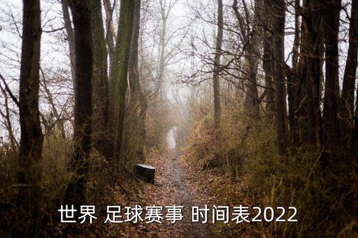 世界 足球賽事 時間表2022