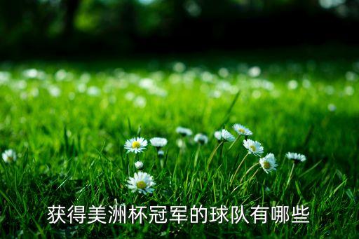 獲得美洲杯冠軍的球隊(duì)有哪些