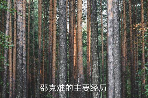 邵克難的主要經(jīng)歷