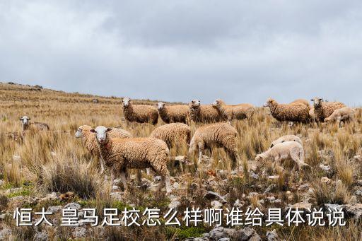 恒大 皇馬足校怎么樣啊誰給具體說說
