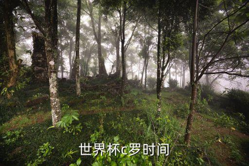 足球u16比賽時間,2022年足球世界杯比賽時間