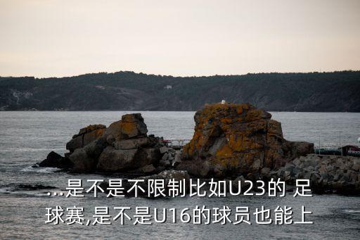 ...是不是不限制比如U23的 足球賽,是不是U16的球員也能上