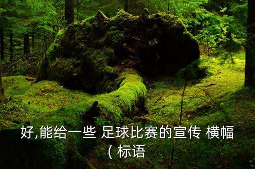 好,能給一些 足球比賽的宣傳 橫幅( 標(biāo)語
