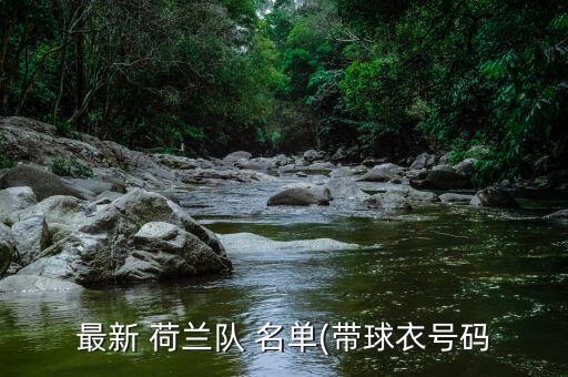 最新 荷蘭隊 名單(帶球衣號碼