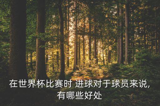 在世界杯比賽時(shí) 進(jìn)球?qū)τ谇騿T來說,有哪些好處