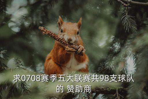 求0708賽季五大聯(lián)賽共98支球隊的 贊助商