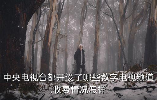 中央電視臺都開設(shè)了哪些數(shù)字電視頻道,收費情況怎樣