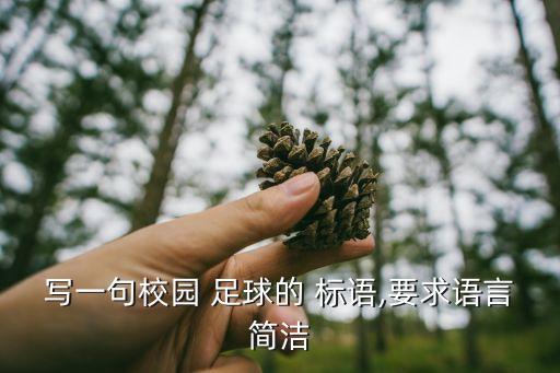 經(jīng)典足球橫幅標(biāo)語