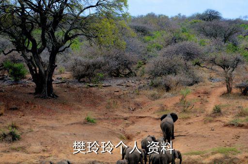 上海足球?qū)氊愘Y料,上海上港足球?qū)氊? /></a><a href=