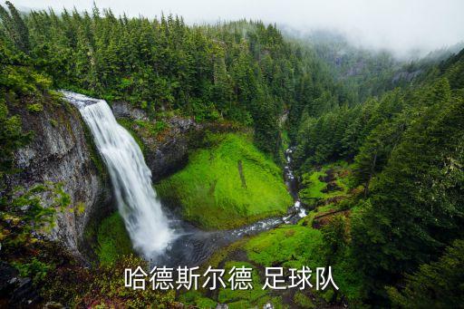 哈德斯?fàn)柕?足球隊(duì)