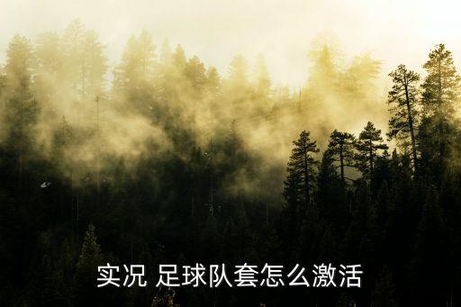 業(yè)務(wù)足球隊管理軟件,汽車維修業(yè)務(wù)管理軟件