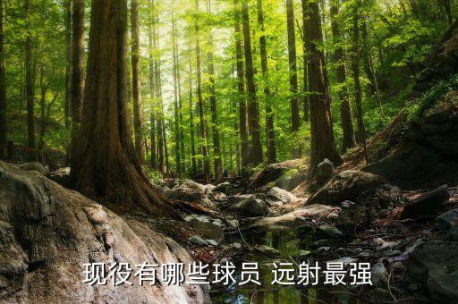 足球遠(yuǎn)射容易打高