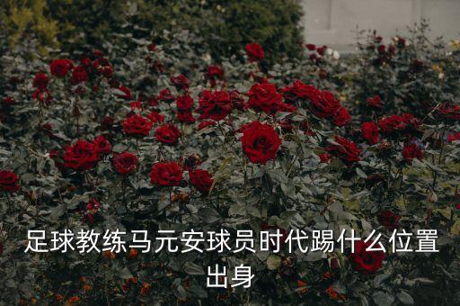  足球教練馬元安球員時代踢什么位置出身