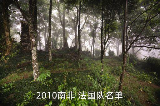 2010南非 法國隊名單