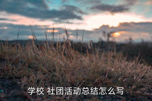 學(xué)校 社團(tuán)活動(dòng)總結(jié)怎么寫