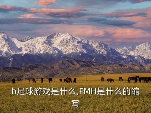 h足球游戲是什么,FMH是什么的縮寫