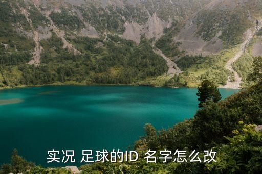  實況 足球的ID 名字怎么改