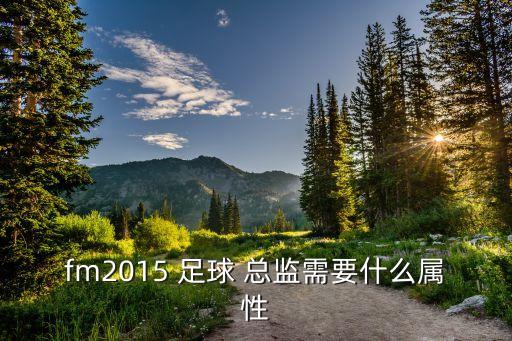 fm2015 足球 總監(jiān)需要什么屬性