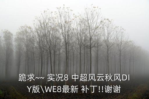實(shí)況足球8補(bǔ)丁解說中超,淡水解說實(shí)況足球2021中超