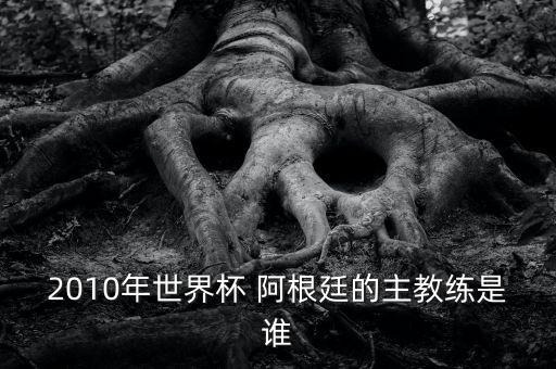 現(xiàn)任阿根廷足球隊(duì)主帥,阿根廷足球隊(duì)陣容2022