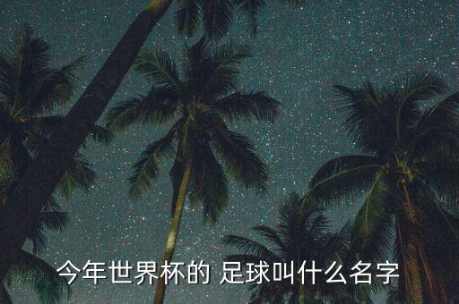 今年世界杯的 足球叫什么名字