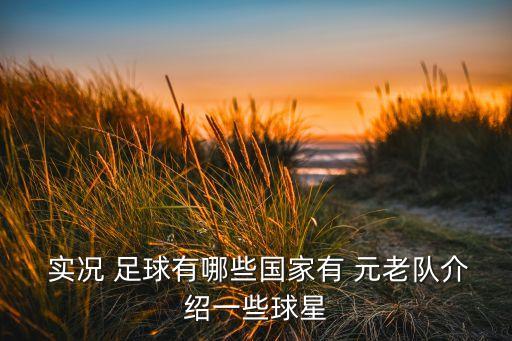 實(shí)況足球2013元老球員,psp實(shí)況足球2014元老球員