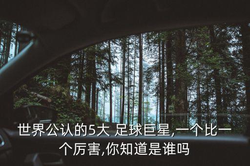 世界公認(rèn)的5大 足球巨星,一個(gè)比一個(gè)厲害,你知道是誰嗎