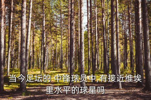 當(dāng)今足壇的 中鋒球員中,有接近維埃里水平的球星嗎