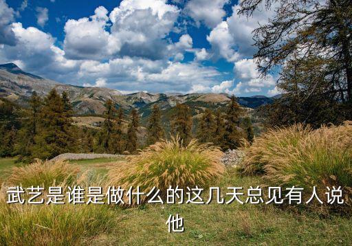 武藝是誰是做什么的這幾天總見有人說他