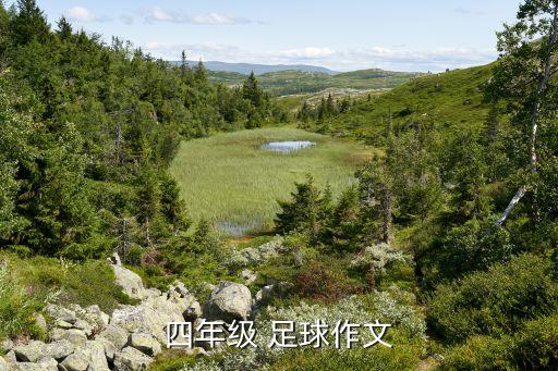 四年級(jí) 足球作文