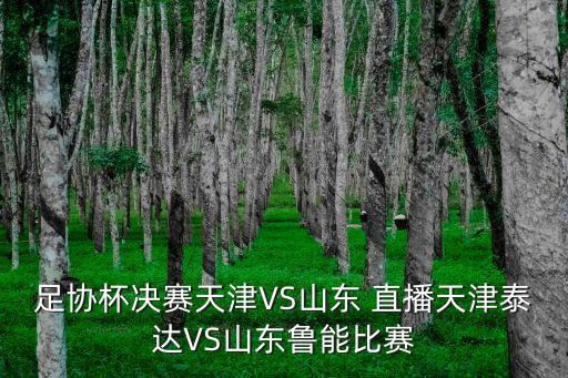 深圳廣州富力足球直播,廣州富力足球2023年賽程