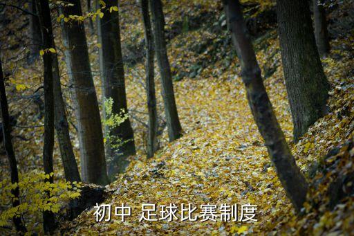 校園足球的方針政策