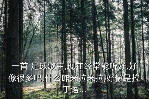 一首 足球歌曲,現在經(jīng)常能聽(tīng)好,好像很多吧,什么咋米拉米拉,好像是拉丁語(yǔ)...